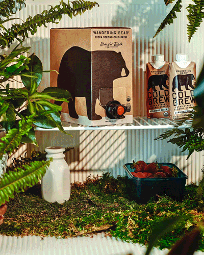 Front view of Wandering Bear cold brew box with tap and two cartons showcasing bear logo on a mossy shelf