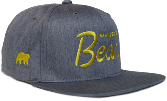 Wandering Bear Flat Bill Hat
